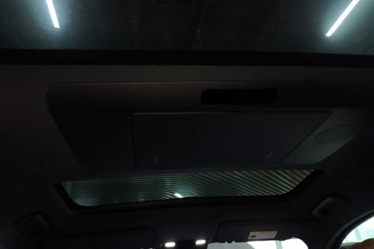 Used Li Auto L9 2022 Max model Headliner
