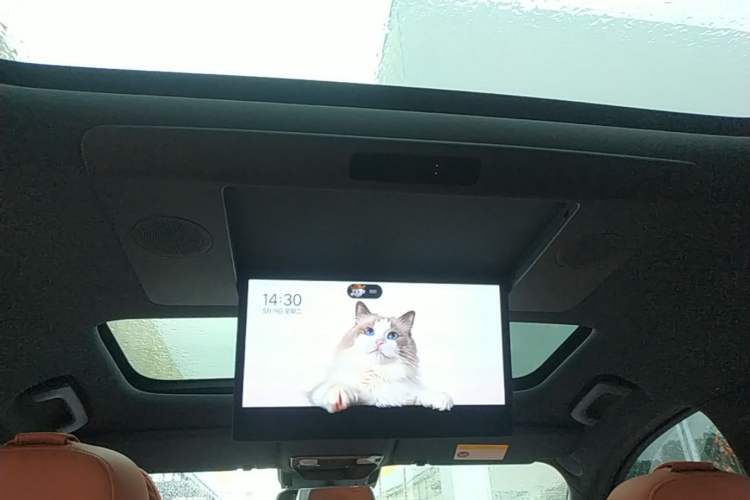 Used Li Auto L9 2022 Max model Headliner