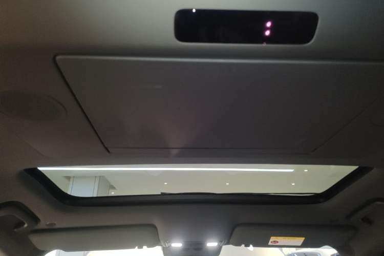 Used Li Auto L9 2022 Max model Headliner