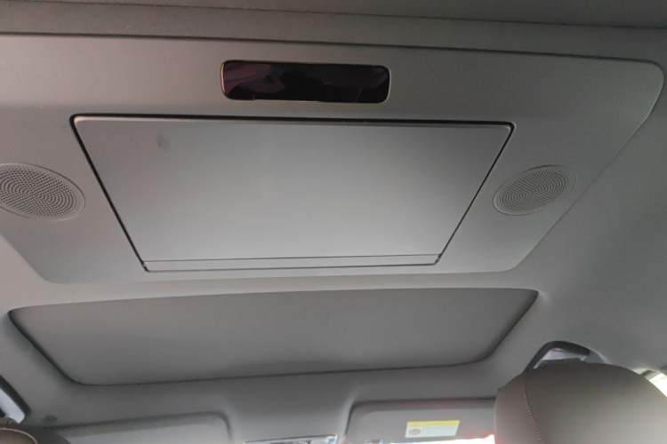 Used Li Auto L9 2022 Max model Headliner