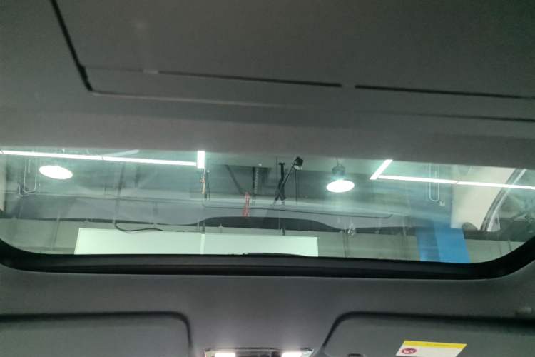 Used Li Auto L9 2022 Max model Headliner