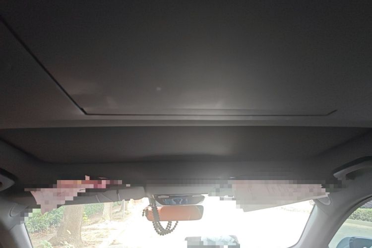 Used Li Auto L9 2022 Max model Headliner