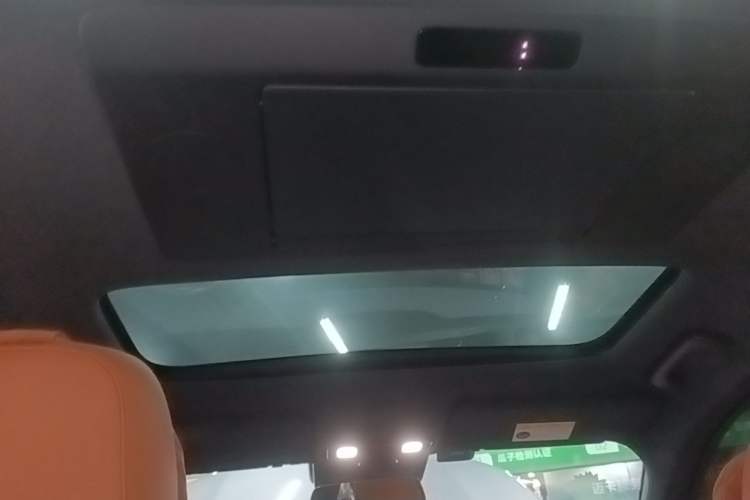 Used Li Auto L9 2022 Max model Headliner