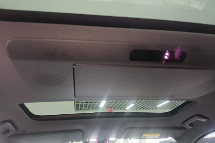 Used Li Auto L9 2022 Max model Headliner