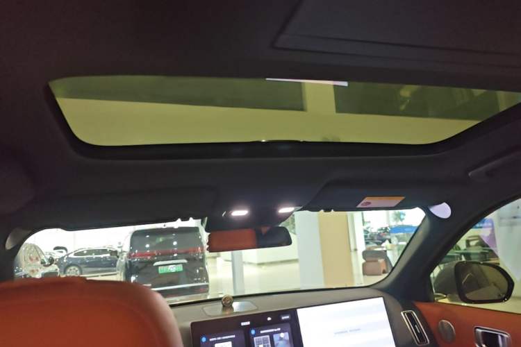 Used Li Auto L9 2022 Max model Headliner