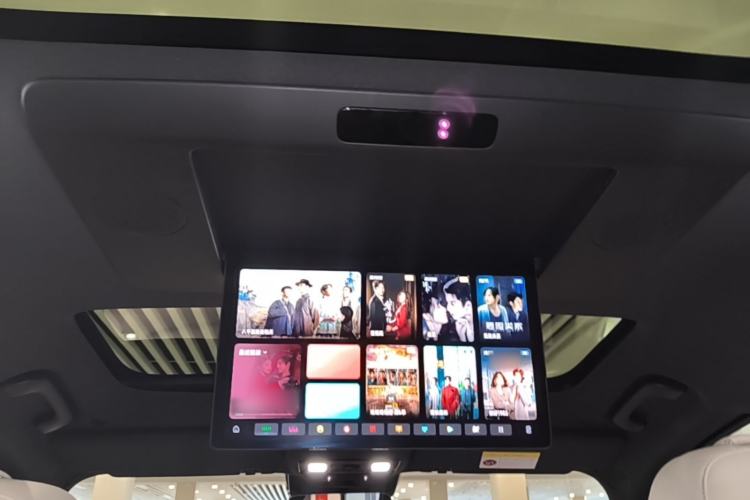 Used Li Auto L9 2022 Max model Headliner