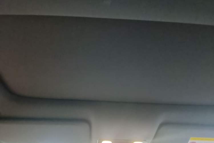 Used Li Auto L9 2022 Max model Headliner