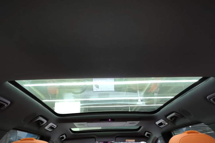 Used Li Auto L9 2022 Max model Headliner