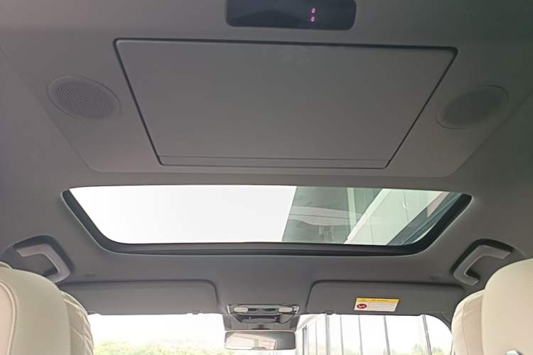 Used Li Auto L9 2022 Max model Headliner