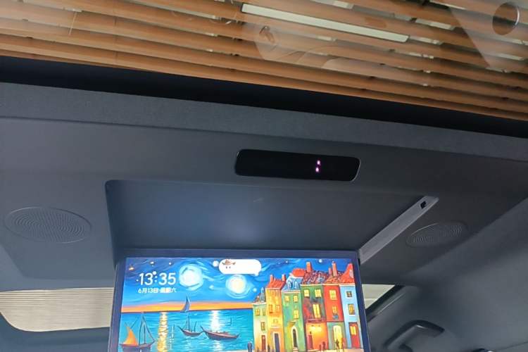 Used Li Auto L9 2022 Max model Headliner