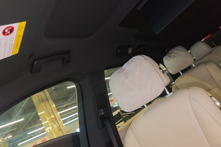 Used Li Auto L9 2022 Max model Headliner