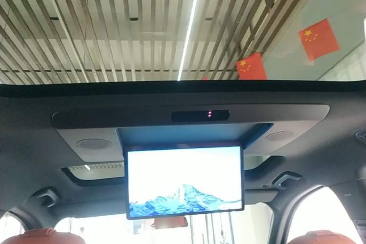 Used Li Auto L9 2022 Max model Headliner
