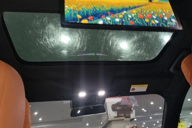 Used Li Auto L9 2022 Max model Headliner