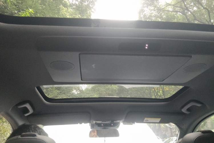 Used Li Auto L9 2022 Max model Headliner