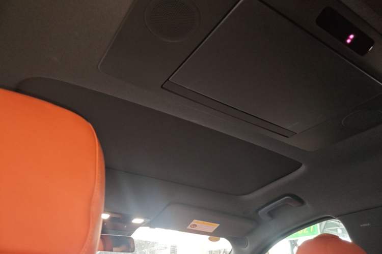 Used Li Auto L9 2022 Max model Headliner