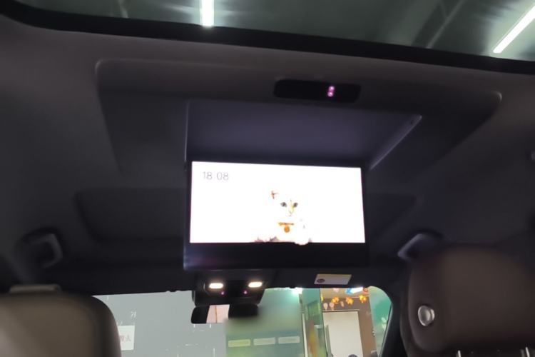 Used Li Auto L9 2022 Max model Headliner