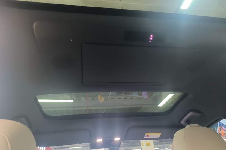 Used Li Auto L9 2022 Max model Headliner