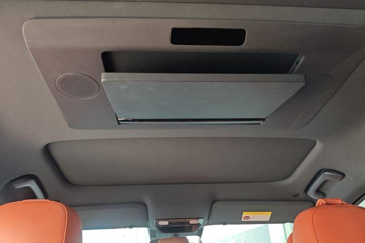 Used Li Auto L9 2022 Max model Headliner