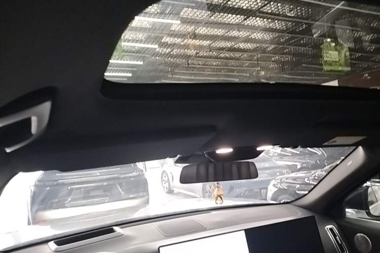 Used Li Auto L9 2022 Max model Headliner
