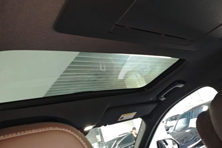 Used Li Auto L9 2022 Max model Headliner
