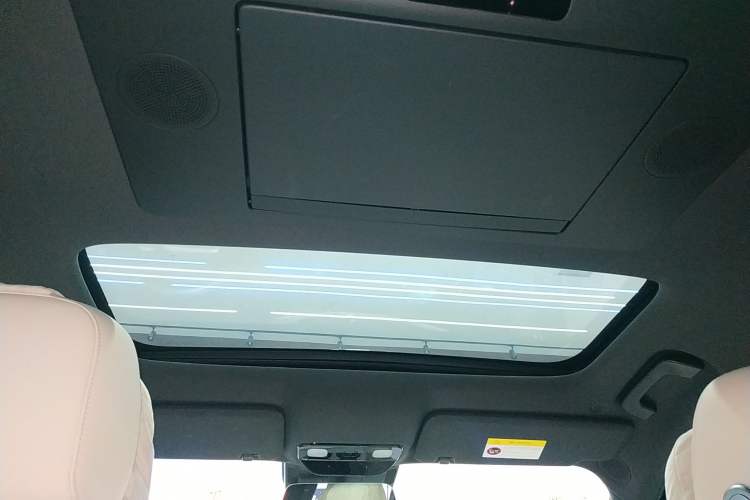 Used Li Auto L9 2022 Max model Headliner