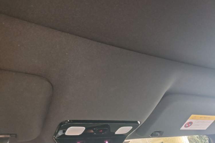 Used Li Auto L9 2022 Max model Headliner