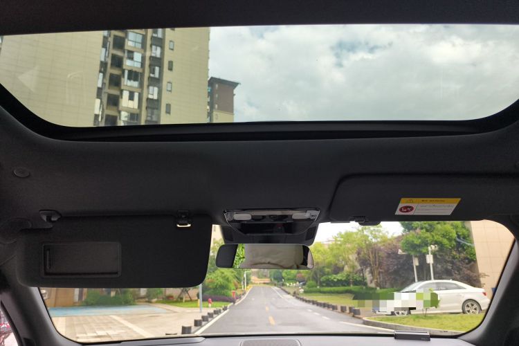 Used Li Auto L9 2022 Max model Headliner