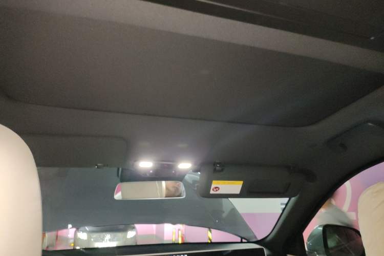 Used Li Auto L9 2022 Max model Headliner