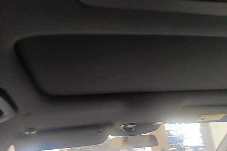 Used Li Auto L9 2022 Max model Headliner
