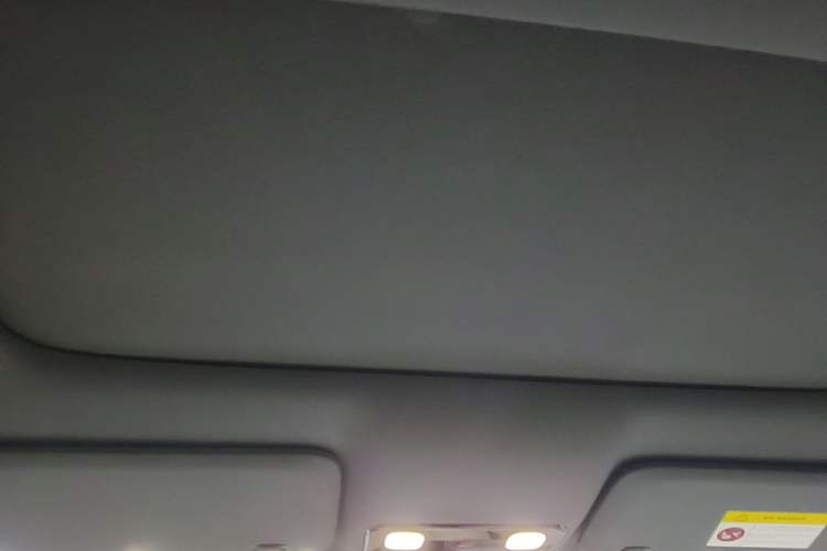 Used Li Auto L9 2022 Max model Headliner