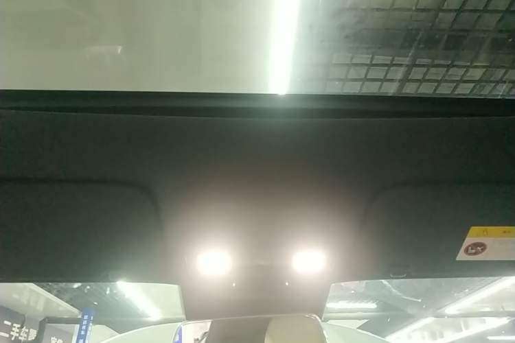 Used Li Auto L9 2022 Max model Headliner