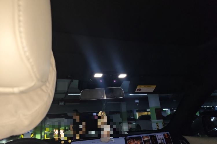 Used Li Auto L9 2022 Max model Headliner
