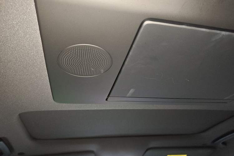 Used Li Auto L9 2022 Max model Headliner