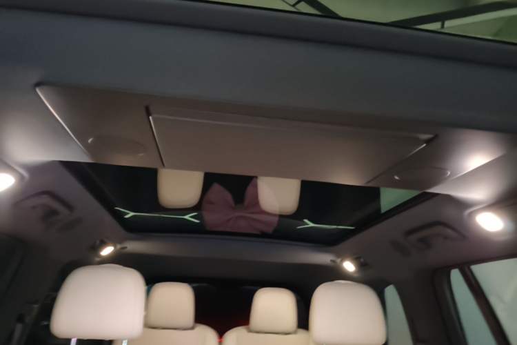 Used Li Auto L9 2022 Max model Headliner