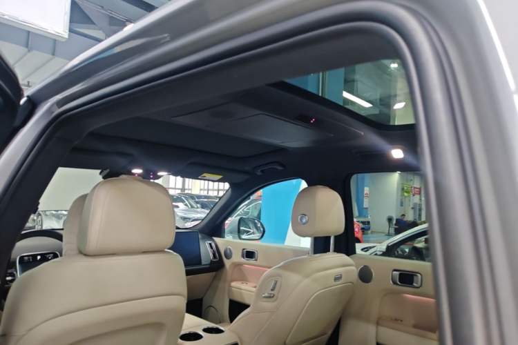 Used Li Auto L9 2022 Max model Headliner