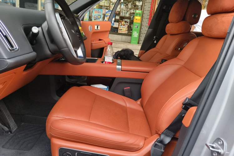 Used Li Auto L9 2022 Max model Left Front Seat