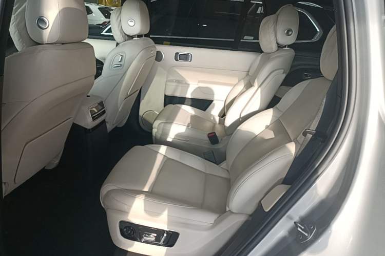Used Li Auto L9 2022 Max model Left Rear Seat