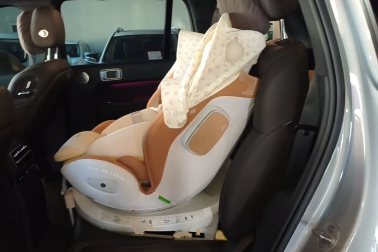 Used Li Auto L9 2022 Max model Left Rear Seat