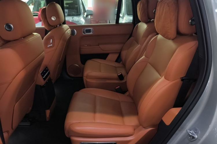 Used Li Auto L9 2022 Max model Left Rear Seat