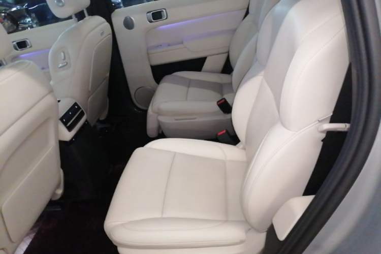 Used Li Auto L9 2022 Max model Left Rear Seat