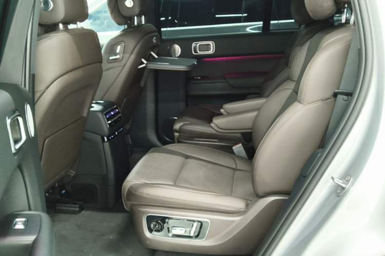 Used Li Auto L9 2022 Max model Left Rear Seat