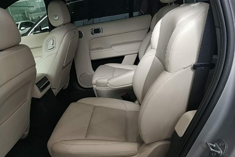 Used Li Auto L9 2022 Max model Left Rear Seat