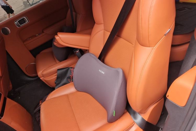Used Li Auto L9 2022 Max model Left Rear Seat