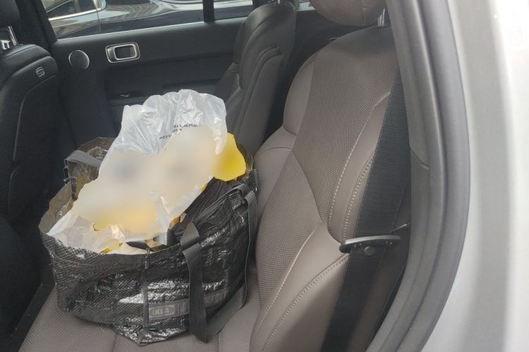 Used Li Auto L9 2022 Max model Left Rear Seat