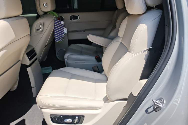 Used Li Auto L9 2022 Max model Left Rear Seat