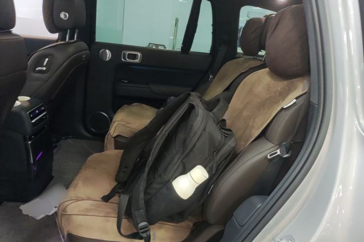 Used Li Auto L9 2022 Max model Left Rear Seat