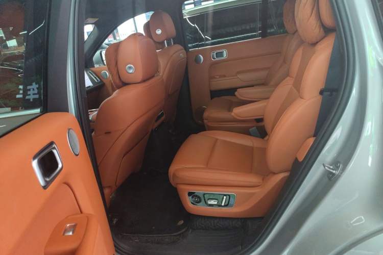 Used Li Auto L9 2022 Max model Left Rear Seat