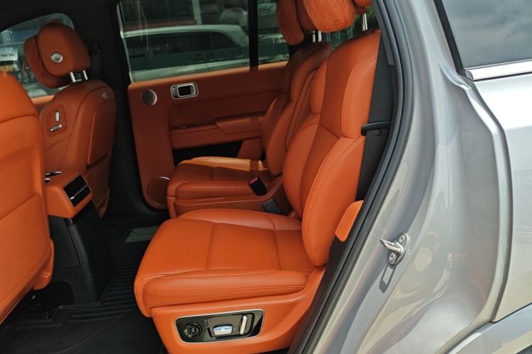 Used Li Auto L9 2022 Max model Left Rear Seat