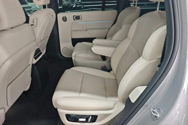 Used Li Auto L9 2022 Max model Left Rear Seat