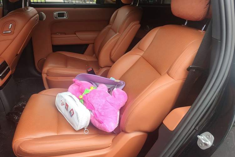 Used Li Auto L9 2022 Max model Left Rear Seat